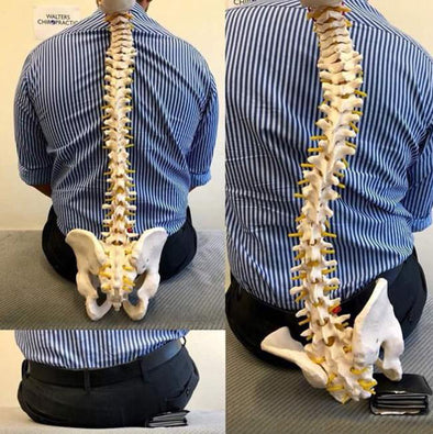 Can a Slim Wallet Really Help Your Back