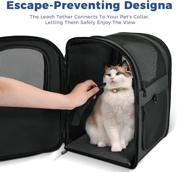 Apollo Walker Pet Carrier Backpack for Large/Small Cats and Dogs, Puppies, Safety Features and Cushion Back Support for Travel, Hiking, Outdoor Use (Black)