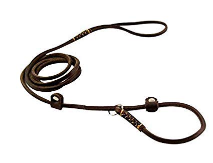 MoSANY Real Leather Slip Adjustable Dog Leash for Small Medium Dogs 5 ft x 1/5 inch