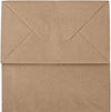 Bagmad 100 Pack 8X4.75X10 Inch Plain Medium Paper Bags with Handles Bulk, Brown Kraft Craft Gift Bags, Grocery Shopping Retail Birthday Party Favors Wedding Sacks (Natural Brown, 100Pcs)