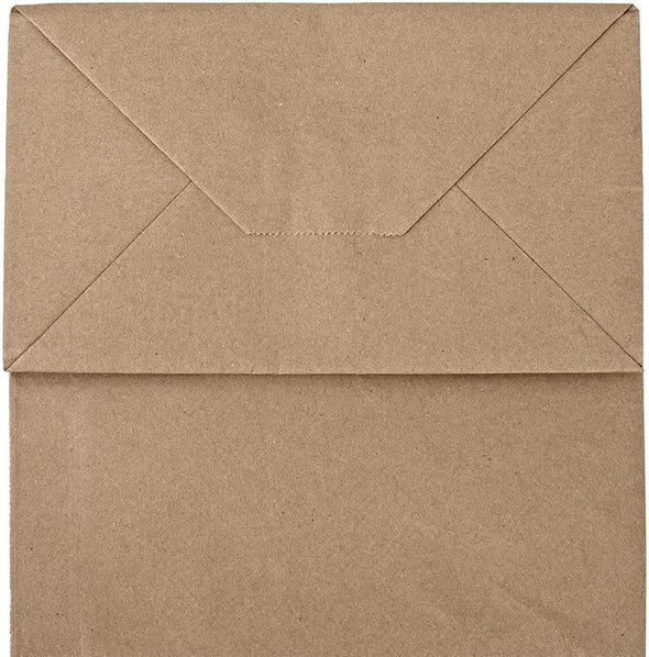 Bagmad 100 Pack 8X4.75X10 Inch Plain Medium Paper Bags with Handles Bulk, Brown Kraft Craft Gift Bags, Grocery Shopping Retail Birthday Party Favors Wedding Sacks (Natural Brown, 100Pcs)