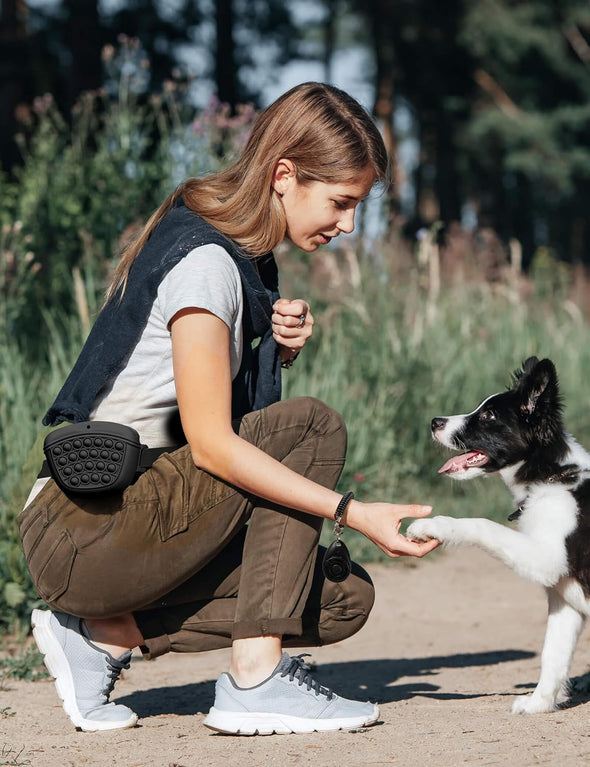 Gobeigo Dog Treat Pouch with Training Clicker 2.0-Upgrade Stronger Magnetic Closure to Avoid Spilling, 1.67 Cup Silicone Treat Bag Fanny Pack with Waist Belt for Pet Training Walking (Black)