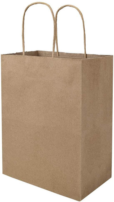 Bagmad 100 Pack 8X4.75X10 Inch Plain Medium Paper Bags with Handles Bulk, Brown Kraft Craft Gift Bags, Grocery Shopping Retail Birthday Party Favors Wedding Sacks (Natural Brown, 100Pcs)
