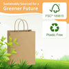 Bagdream Gift Bags 10X5X13 50Pcs Brown Kraft Paper with Handles - Merchandise, Retail, Party Favor, Shopping Bulk 100% Recycled Paper Sacks