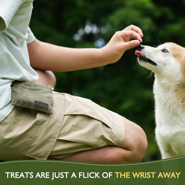 ETIAL Portable Hand Free Dog Treat Pouch for Pet Travel or Outdoor Use