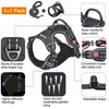 tobeDRI Adjustable No Pull Dog Harness with Reflective & Heavy Duty 5ft Dog Leash - M, Black)