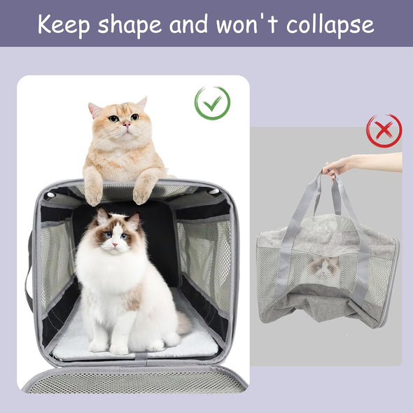 Prodigen Cat Carrier Dog Carriers for Small Dogs Soft Slided Airline Approved Collapsible Pet Travel Carrier, Small (16.3" L X 11.8" H X 12.4" W)