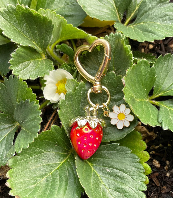 Agromusk Cute Strawberry Keychain, Heart Flower Daisy Bag Charms