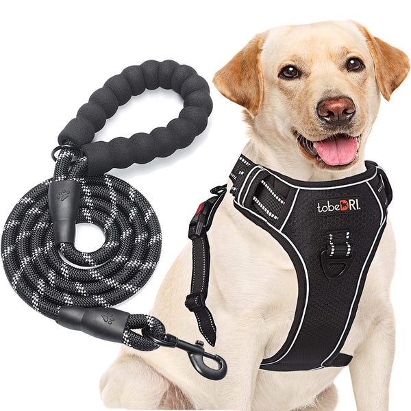 tobeDRI Dog Harness & Dog Leash – Kinzd