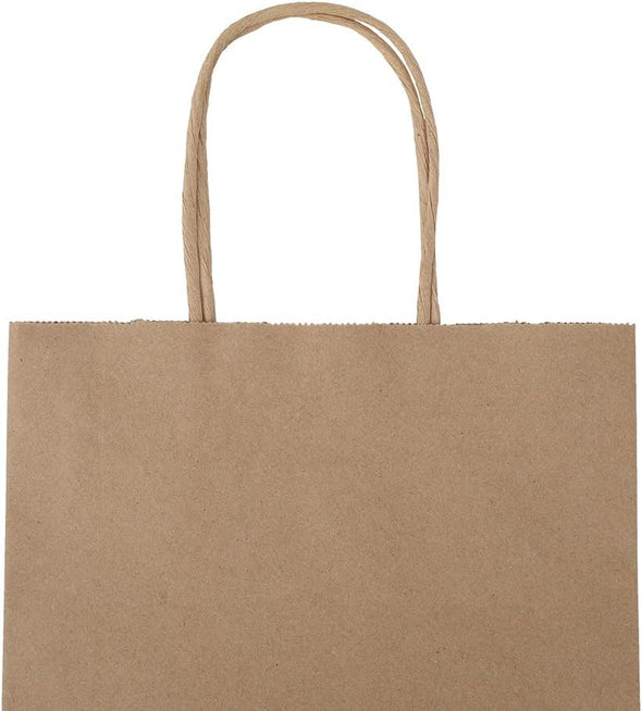Bagmad 100 Pack 8X4.75X10 Inch Plain Medium Paper Bags with Handles Bulk, Brown Kraft Craft Gift Bags, Grocery Shopping Retail Birthday Party Favors Wedding Sacks (Natural Brown, 100Pcs)