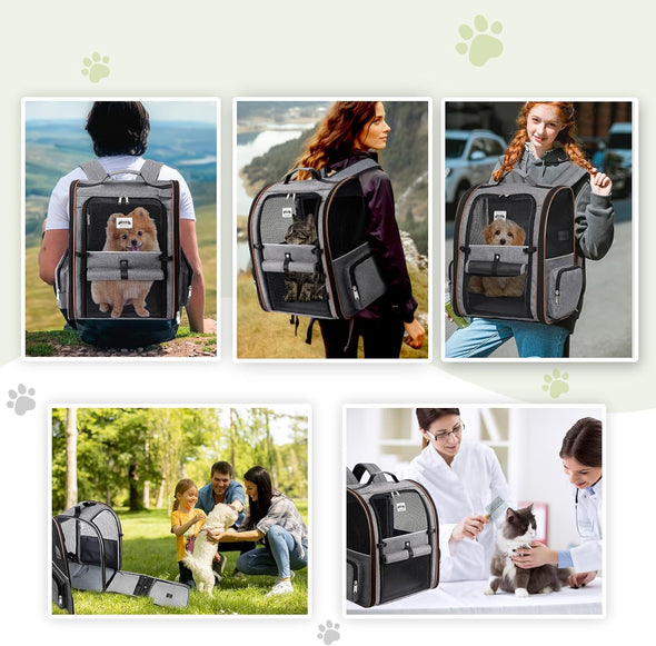 Lekebobor Large Cat Backpack Carrier Expandable Pet Carrier Backpack for Small Dogs Medium Cats Fit up to 18 Lbs, Dog Backpack Carrier, Foldable Puppy Backpack Carrier for Travel, Hiking,Grey