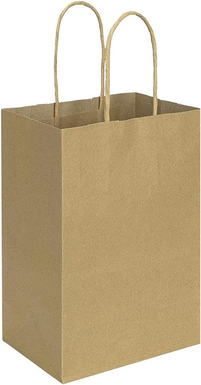 Bagmad 100 Pack 5.25X3.25X8 Inch Brown Small Paper Bags with Handles Bulk, Gift Paper Bags, Kraft Birthday Party Favors Grocery Retail Shopping Takeouts Business Craft Sacks (Plain Natural 100Pcs)