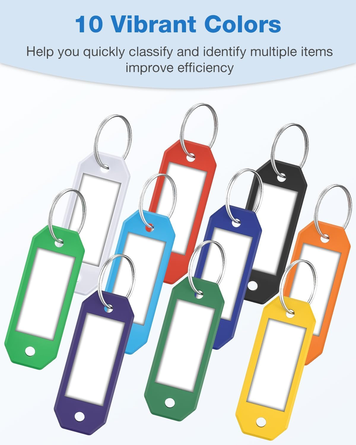 Ttstar Hexagon Key Tags with Labels – 10 Pack Color-Coded Keychain Tag ...