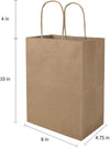 Bagmad 100 Pack 8X4.75X10 Inch Plain Medium Paper Bags with Handles Bulk, Brown Kraft Craft Gift Bags, Grocery Shopping Retail Birthday Party Favors Wedding Sacks (Natural Brown, 100Pcs)