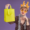 30Pcs Gift Bags Medium Size, Reusable Goodie Bag, Gift Bags with Handles for Party Favors, Birthday, Baby Shower