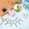 Paxcoo 50Pcs Keychains with Chain and 50 Pcs Jump Rings, Keychain Rings Kit Findings Bulk for Keychain Making Supplie DIY Crafts