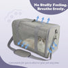 Prodigen Cat Carrier Dog Carriers for Small Dogs Soft Slided Airline Approved Collapsible Pet Travel Carrier, Small (16.3" L X 11.8" H X 12.4" W)