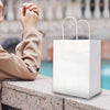 Oikss 100 Pack 5.25X3.25X8.25 Inch Small White Kraft Paper Bags with Handles Bulk for Birthday Wedding Party Favors Grocery Retail Shopping Business Goody Craft Gift Bags Cub Sacks (100Pcs Count)